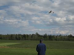IMG_5781